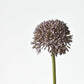 17.5" Faux Purple Allium Spray Stem