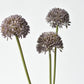 17.5" Faux Purple Allium Spray Stem
