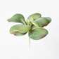 6" Faux Green\Gray Kalanchoe Succulent Pick