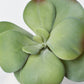 6" Faux Green\Gray Kalanchoe Succulent Pick