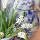 12.5" Faux White Muscari Bush Grape Hyacinth