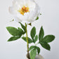 22" Faux White Peony Stem