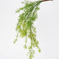 26" Faux Soft Asparagus Fern Sprengeri Bush