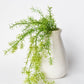 26" Faux Soft Asparagus Fern Sprengeri Bush