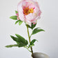 22" Faux Pink Peony Stem