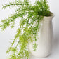 26" Faux Soft Asparagus Fern Sprengeri Bush