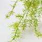 26" Faux Soft Asparagus Fern Sprengeri Bush