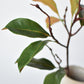 26" Faux Magnolia Leaf Branch Stem