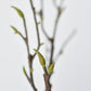 36" Faux Magnolia Tree Branch Stem
