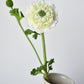 21" Faux Double Ruffled Ranunculus Stem White