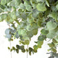 28" Faux Eucalyptus Wreath