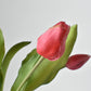 11.75" Faux Real Touch Dark Pink Tulip Stem Bundle