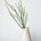 23" Faux Green Pencil Cactus Succulent Stem