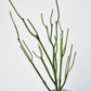23" Faux Green Pencil Cactus Succulent Stem