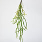 23" Faux Hanging Pencil Cactus Succulent Bush