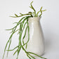 23" Faux Hanging Pencil Cactus Succulent Bush