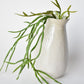 23" Faux Hanging Pencil Cactus Succulent Bush