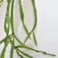 23" Faux Hanging Pencil Cactus Succulent Bush