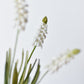 12.5" Faux White Muscari Bush Grape Hyacinth