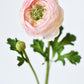 13" Faux Blush Ranunculus Stem