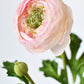 13" Faux Blush Ranunculus Stem