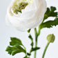 13" Faux White Ranunculus Stem