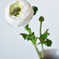 13" Faux White Ranunculus Stem