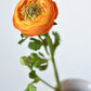 13" Faux Orange Ranunculus Stem