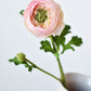 13" Faux Blush Ranunculus Stem