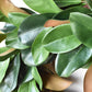 27" Faux Magnolia Leaf Wreath