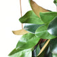 27" Faux Magnolia Leaf Wreath
