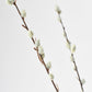 31" Faux Pussy Willow Stem