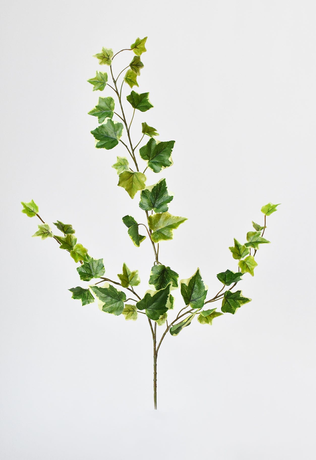25" Faux  Variegated Green Ivy Stem