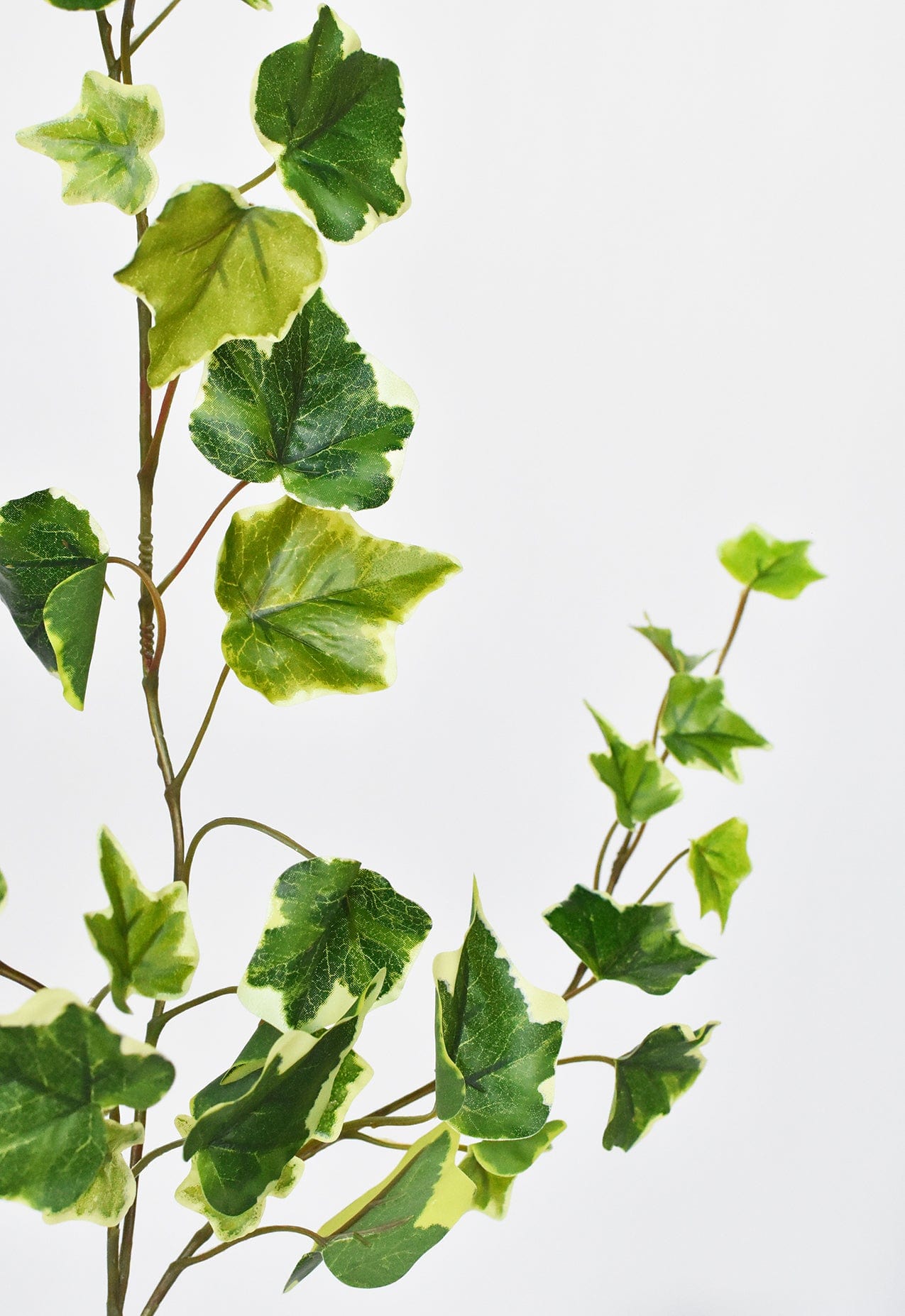 25" Faux  Variegated Green Ivy Stem
