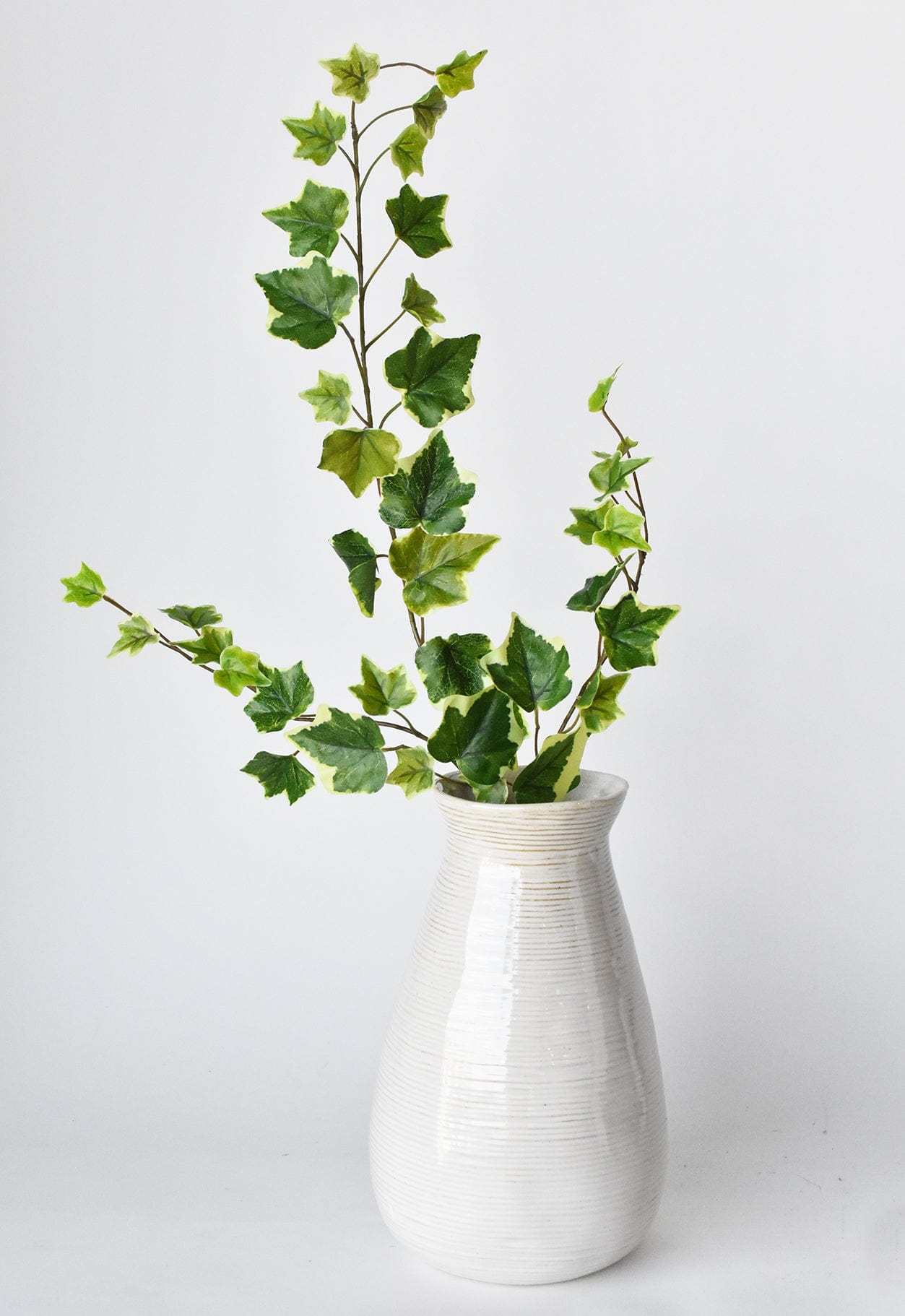 25" Faux  Variegated Green Ivy Stem