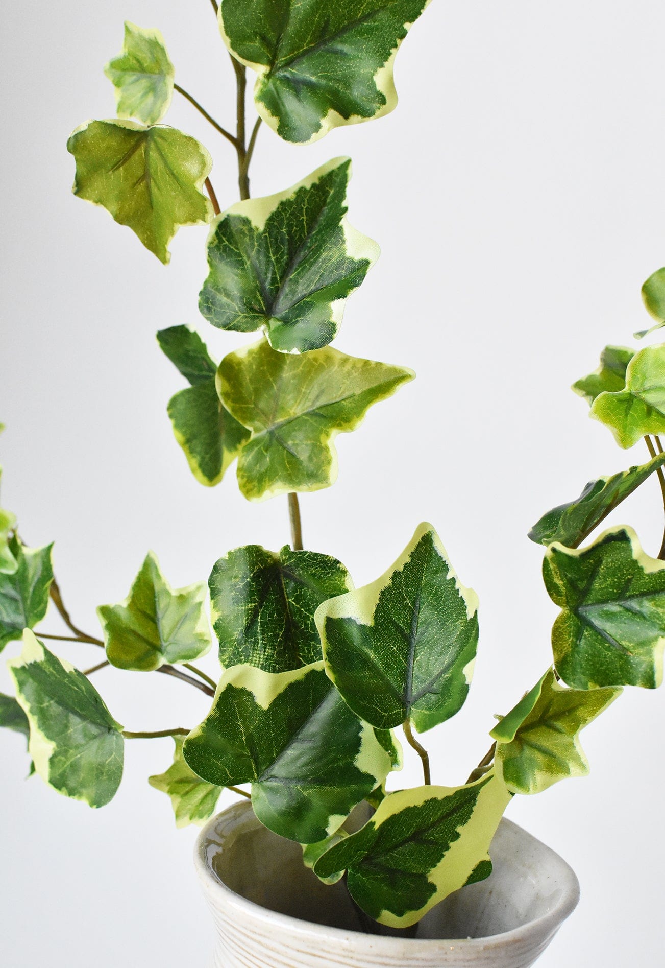 25" Faux  Variegated Green Ivy Stem