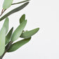 31" Faux Eucalyptus Leaf Stem