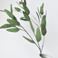 31" Faux Eucalyptus Leaf Stem