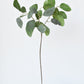 24" Faux Eucalyptus Leaf Stem