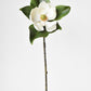 24" Faux Magnolia Blossom Stem
