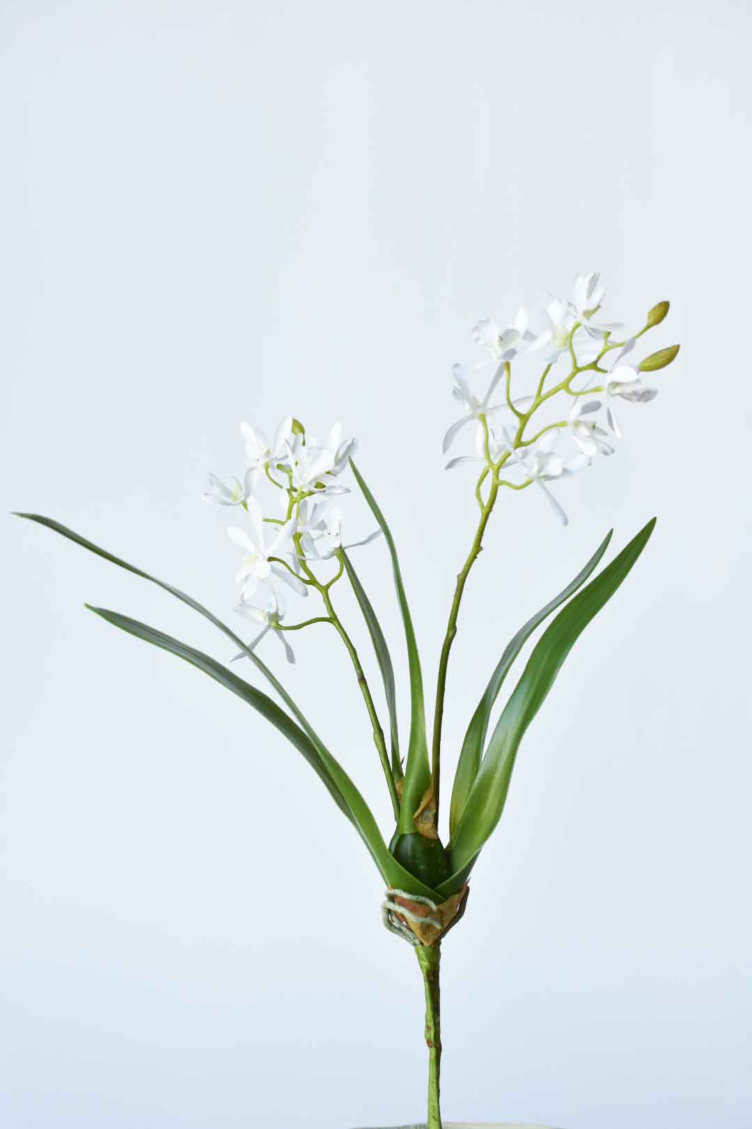 16" Faux Mini Orchid Stem with Leaves and Roots