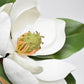 24" Faux Magnolia Blossom Stem