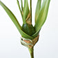 16" Faux Mini Orchid Stem with Leaves and Roots
