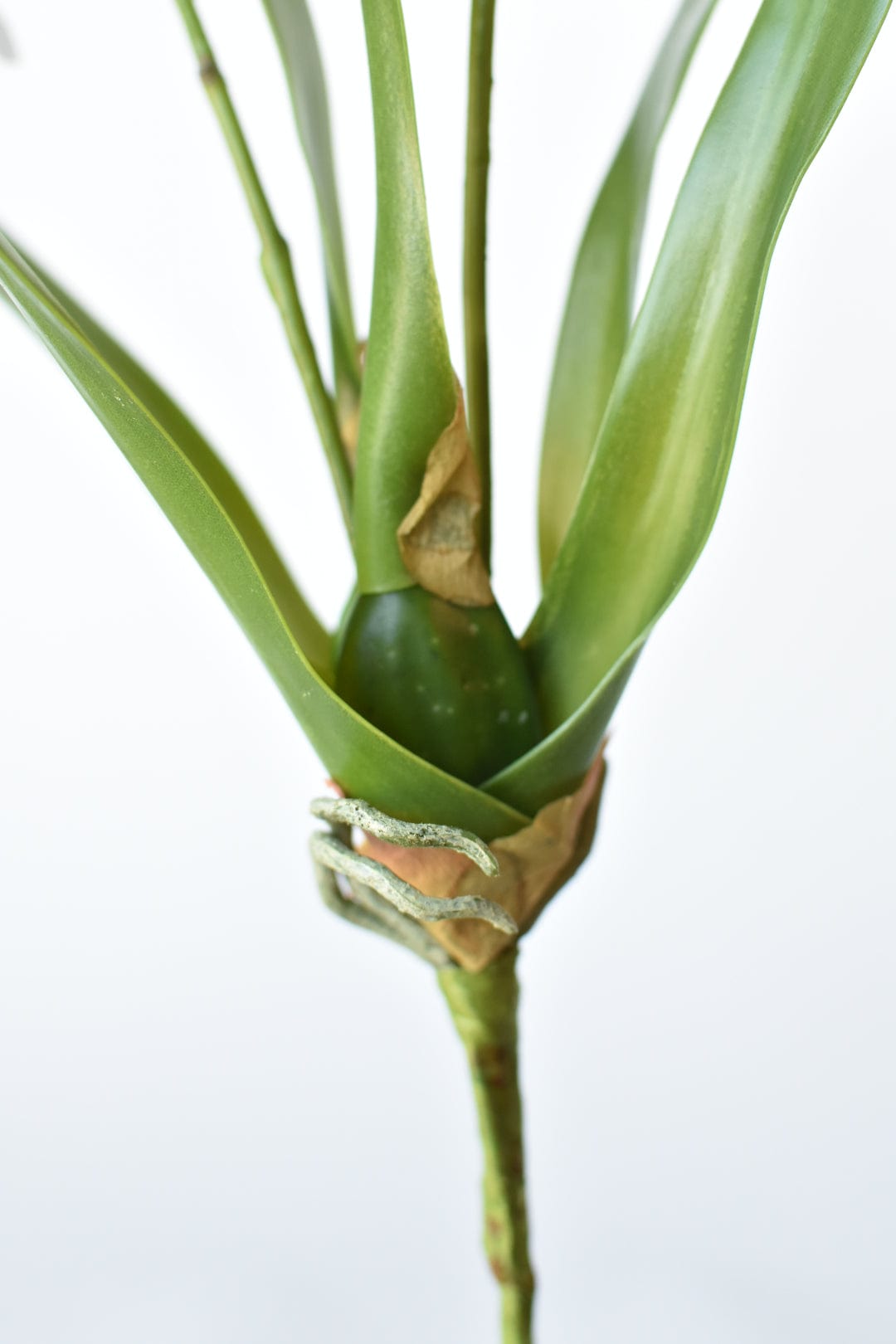 16" Faux Mini Orchid Stem with Leaves and Roots