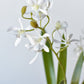 16" Faux Mini Orchid Stem with Leaves and Roots