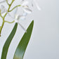16" Faux Mini Orchid Stem with Leaves and Roots