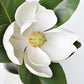 24" Faux Magnolia Blossom Stem