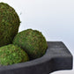 3" Moss Balls (set of 6)