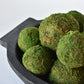 3" Moss Balls (set of 6)