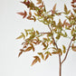 40" Faux Nandina Fall Foliage - Green/Burgundy